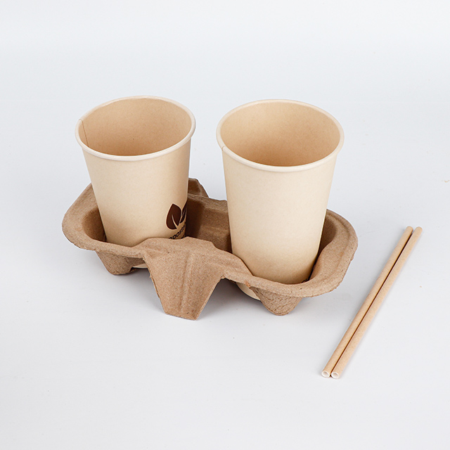 Take Away Disposable & Recyclable Paper Pulp Tray 2 Cup Holder