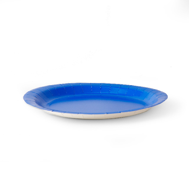 Eco-friendly disposable colorful paper plates