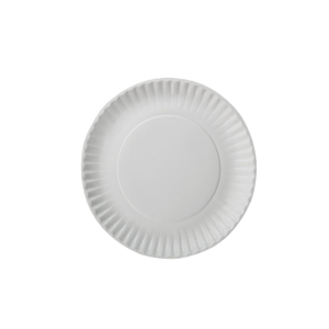 8 inch compostable food paper party plate