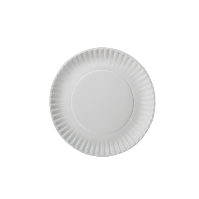 8 inch compostable food paper party plate