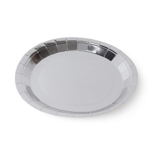 Disposable Silver Paper Plate