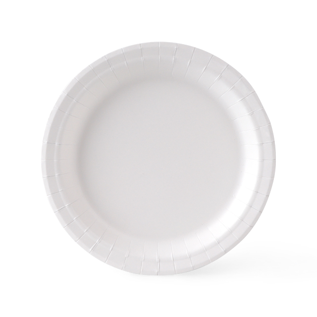 Disposable Biodegradable Pulp White Plate