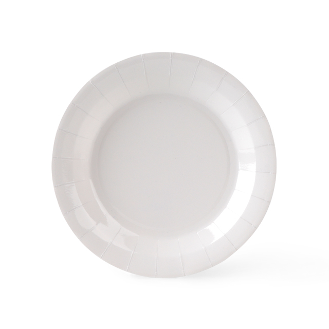 Disposable Biodegradable Pulp White Plate