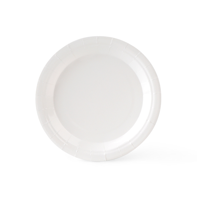 Disposable Biodegradable Pulp White Plate