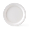 Disposable Biodegradable Pulp White Plate