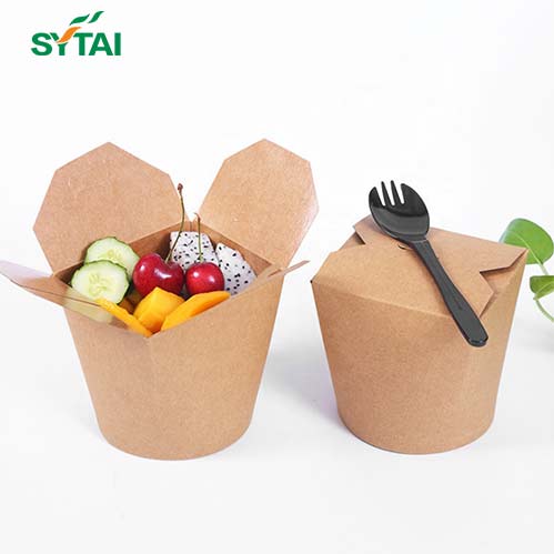 Paper-Noodle-Box-11.jpg