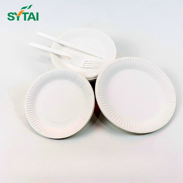 Compostable Paper Plates Bulk