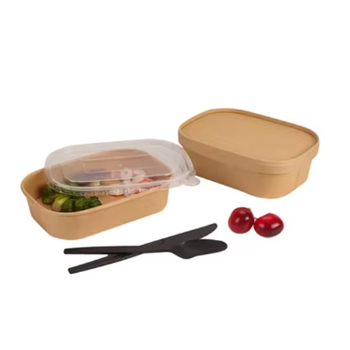 Disposable Rectangular Ppaper Bowl With Lid