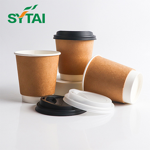 Insulated Disposable Double Wall Cups With Lids