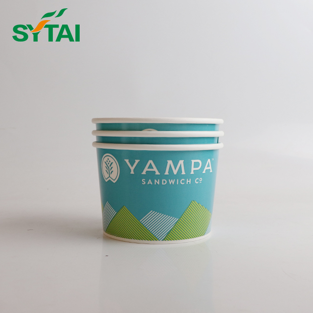 20oz Ice Cream Cups Bulk Custom Ice Cream Cups