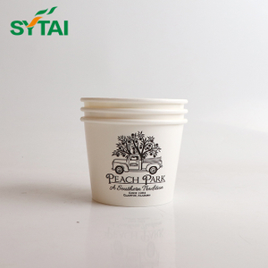 10oz Disposable Ice Cream Cups And Lids