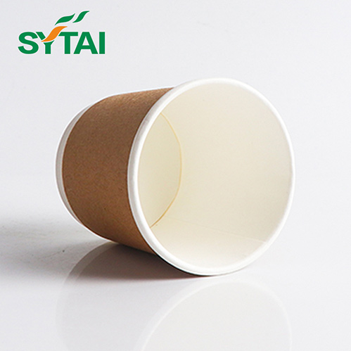Double-Wall-KRAFT-Paper-Cups-2.jpg