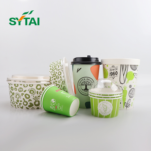 16oz Paper Ice Cream Cups With Lids 